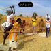 قبيلة الداجو