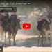 أهمية الحفاظ على التراث الشعبي لقبيلة الزغاوة التشادية